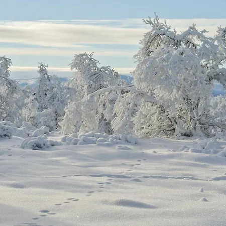 Hol With A Fireplace 02 *