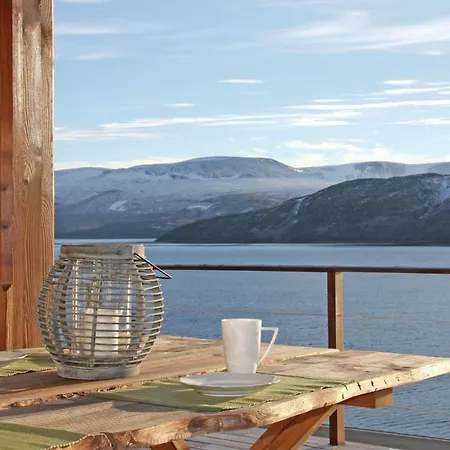 Hol With A Fireplace 02 * Hovet